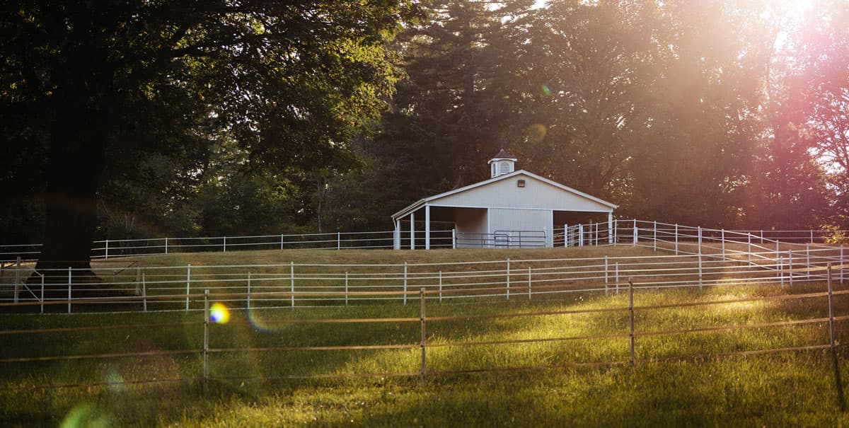 A cream barn with a cupola glows in golden evening light among trees