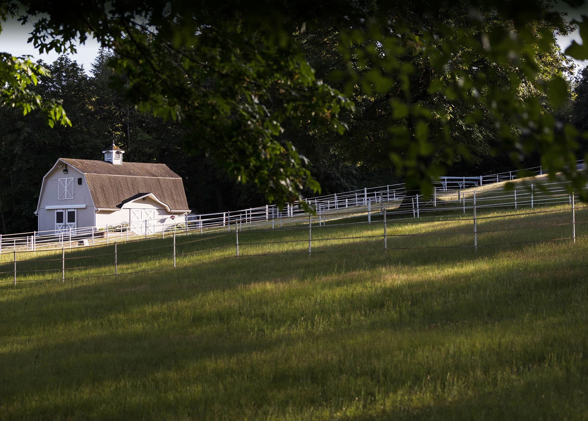 A barn with a white cupola on a sloped pasture, backlit by golden evening light
