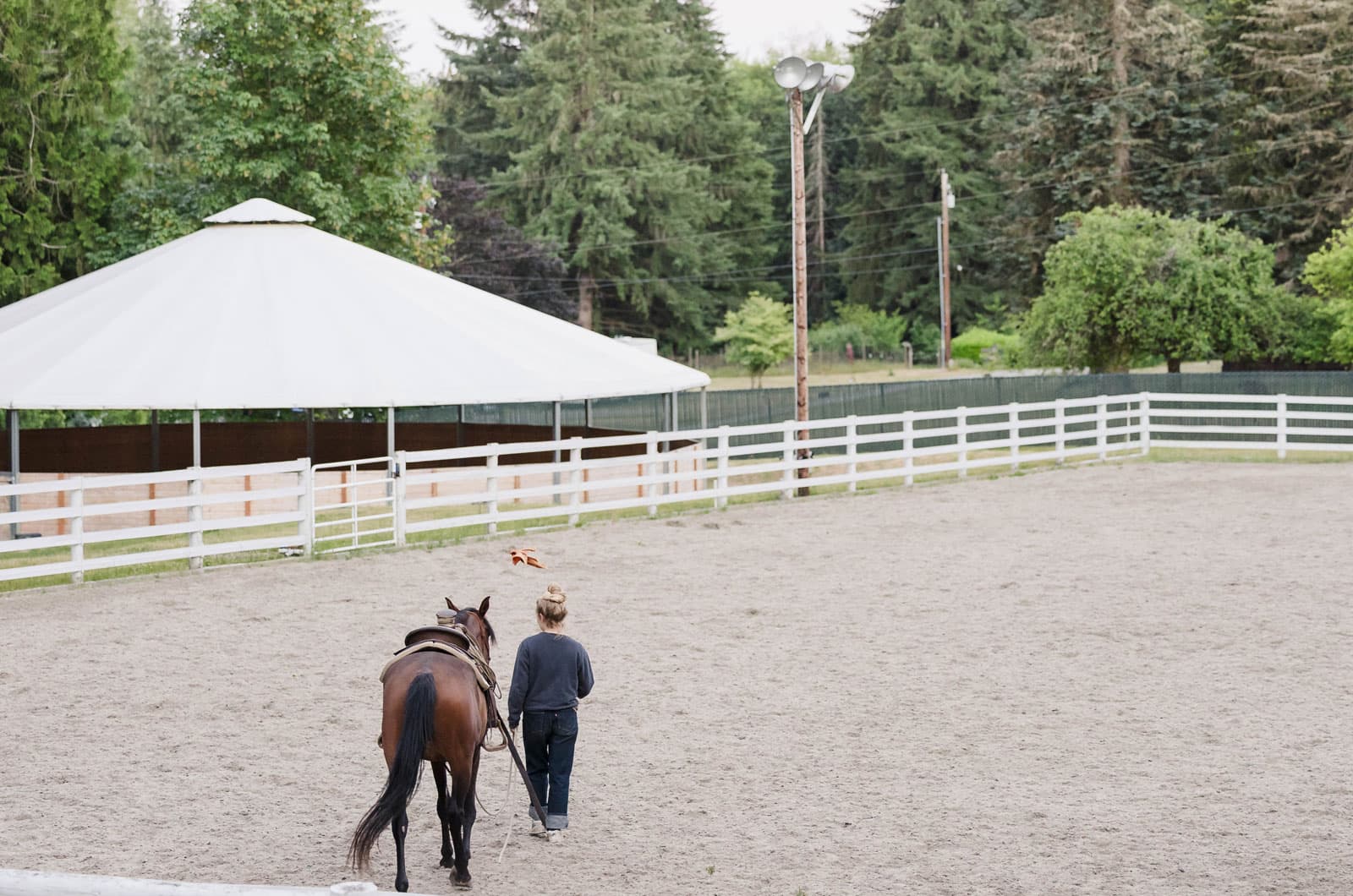 Lili leads a horse across the arena toward the round pen